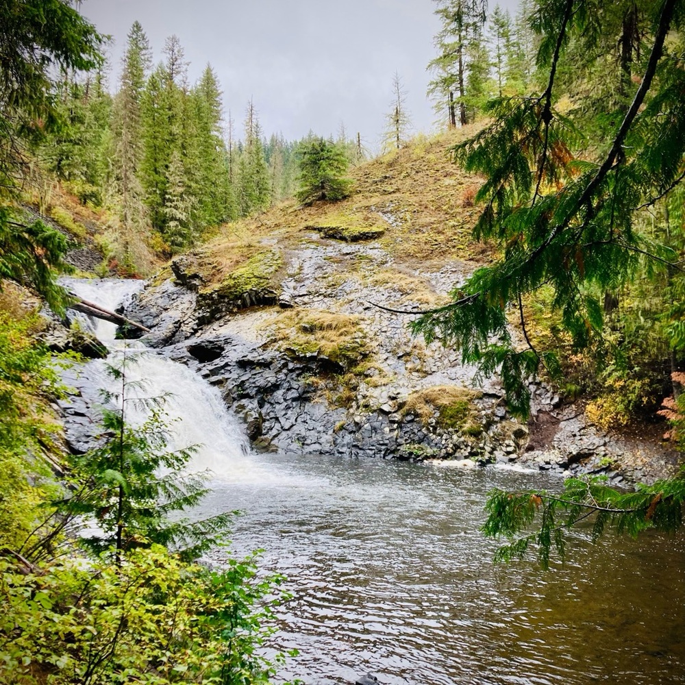 Meet your Posher, Theda